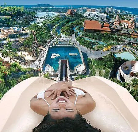 Cristianos Holidays * Playa de las Americas (Tenerife)