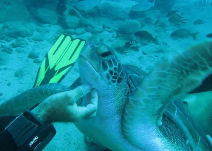 Cristianos Holidays Playa de las Américas