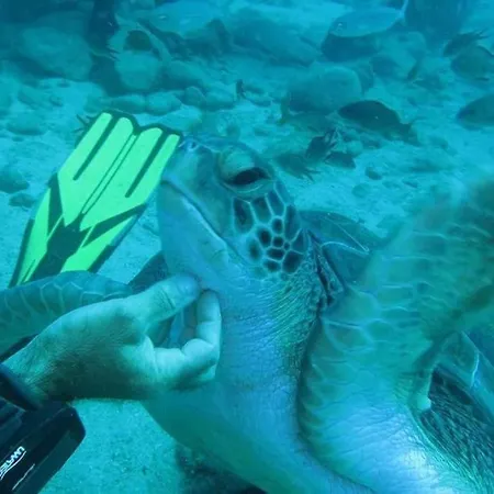 Cristianos Holidays Плайя-де-лас-Амерікас